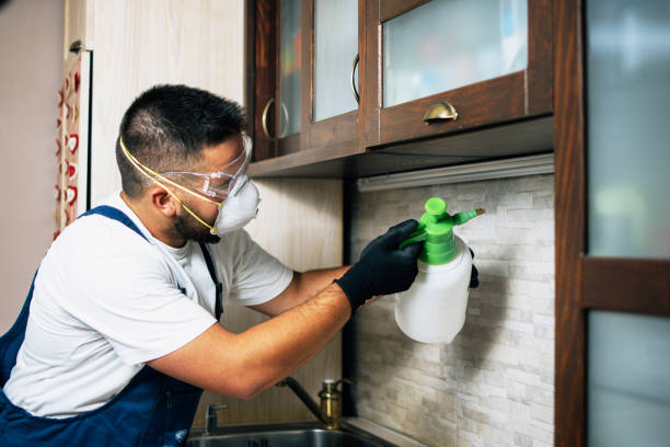Best Mosquito Control Services  in Monroe, MI