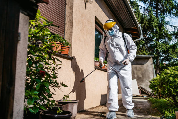 Best Pest Control Near Me in Monroe, MI
