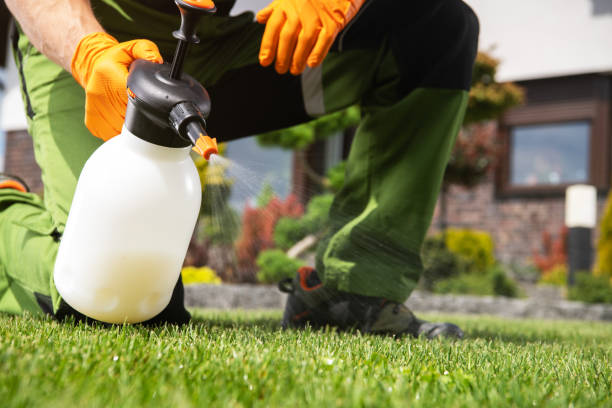 Best Flea Control Services  in Monroe, MI