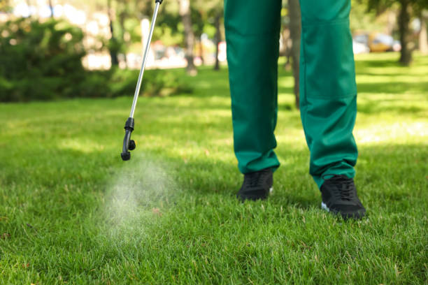 Best Emergency Pest Control  in Monroe, MI
