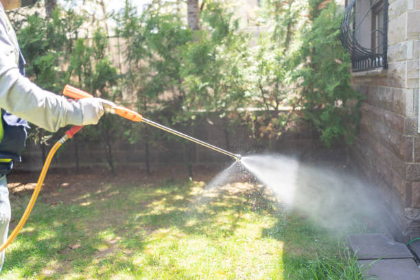 Flea Control Services in Monroe, MI