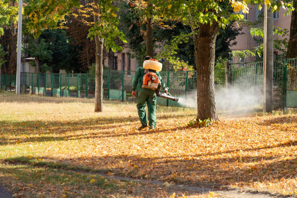 Best Best Pest Control Companies  in Monroe, MI