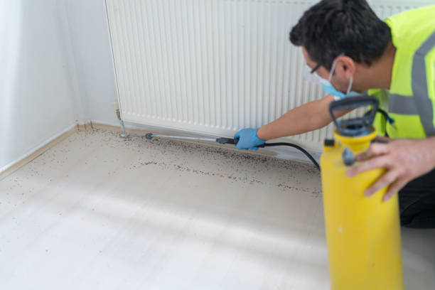 Best Pest Control for Homes  in Monroe, MI
