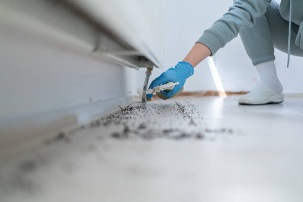 Best Pest Inspection Near Me  in Monroe, MI